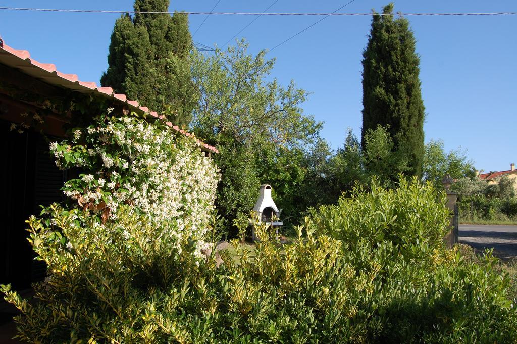 Villa Agriturismo Il Cipresso Vada Exterior foto